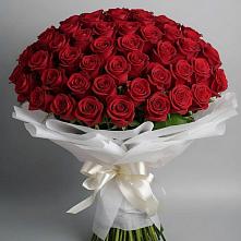 Букет 101 Красная роза Блэк Мэджик в Тосно