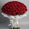 Букет 101 Красная роза Блэк Мэджик в Тосно