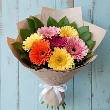 Букет цветов из:  Герберы #REPLACE_PRED# Тосно