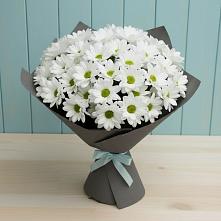 Букет цветов из:  Хризантемы #REPLACE_PRED# Тосно