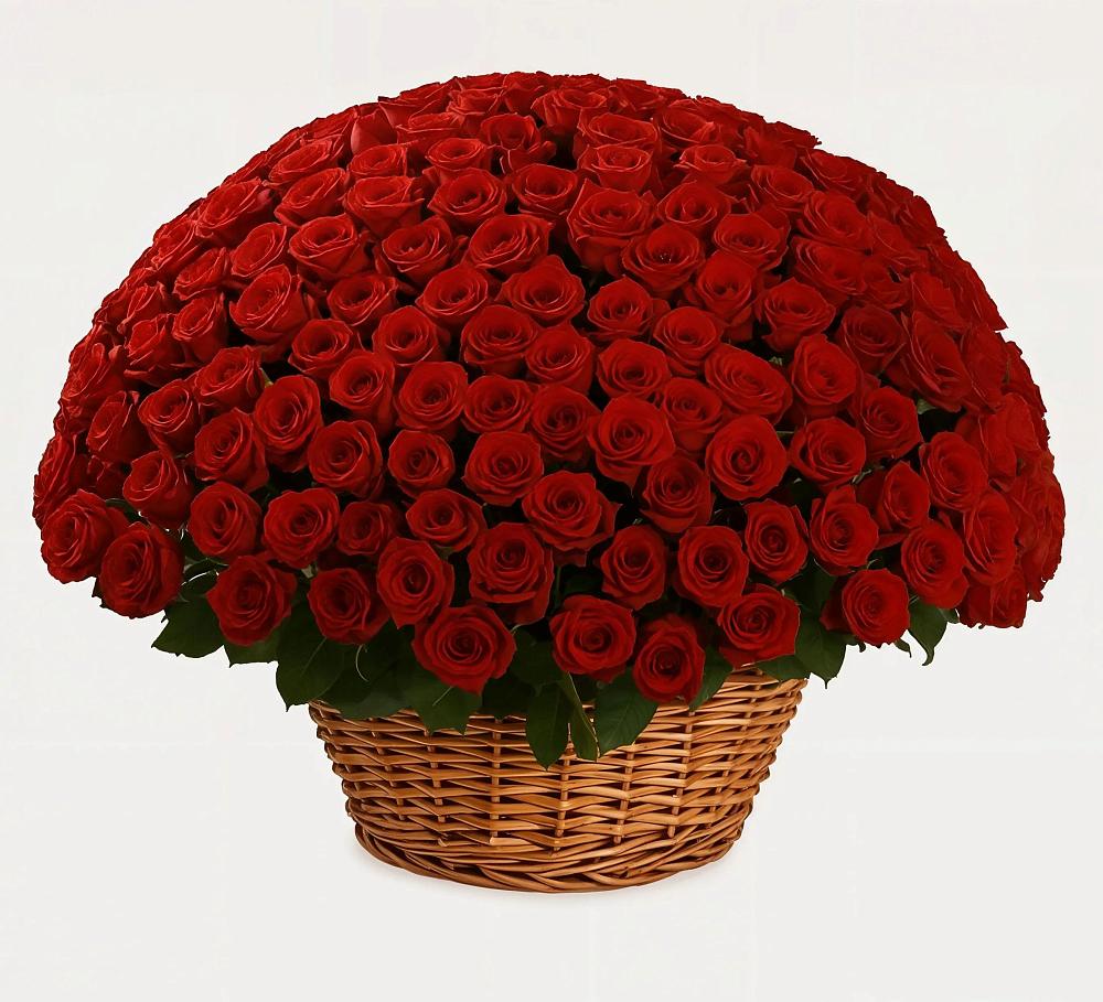 Премиум букет из: Розы в Тосно