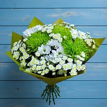 Букет цветов из:  Хризантемы в Тосно