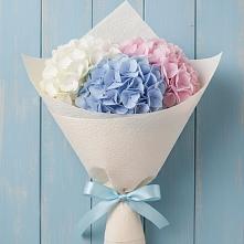 Букет цветов из:  Гортензия #REPLACE_PRED# Тосно
