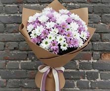 Букет цветов из:  Хризантемы в Тосно