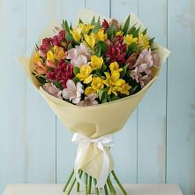 Букет цветов из:  Альстромерии #REPLACE_PRED# Тосно