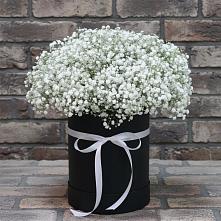 Цветочная композиция из Гипсофила в шляпной коробке в Тосно