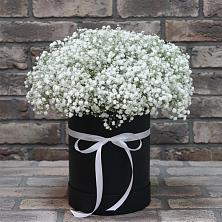 Цветочная композиция из Гипсофила в шляпной коробке в Тосно
