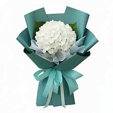 Букет цветов из:  Гортензия в Тосно